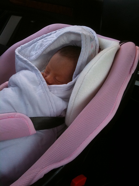 Baby.jpg
