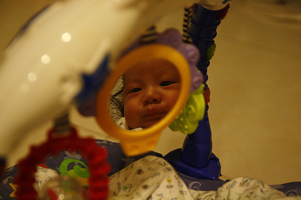 _MG_7973.JPG