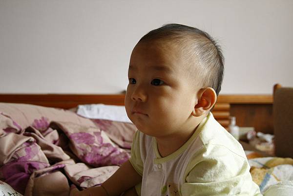 _MG_3520.JPG