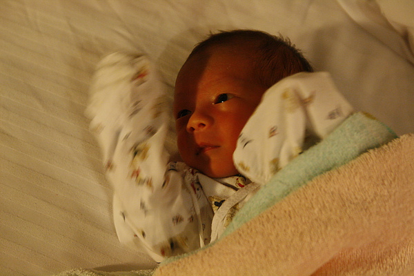 _MG_6284.JPG