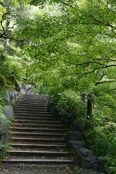 _MG_4154.JPG