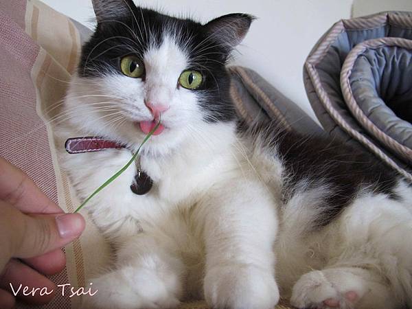 IMG_4449.JPG IMG_4449.JPG