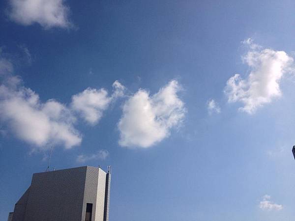 1378839_730653963616548_287166626_n