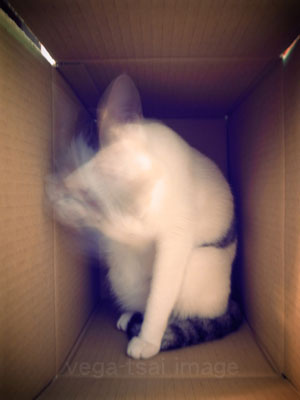 R0010530 - 版本2拷貝.jpg R0010530 - 版本2拷貝.jpg