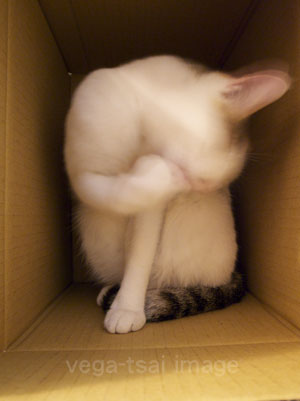 R0010534 - 版本2拷貝.jpg R0010534 - 版本2拷貝.jpg