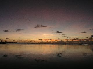 P1010643.jpg
