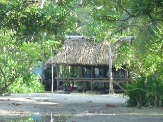 P1010176.jpg
