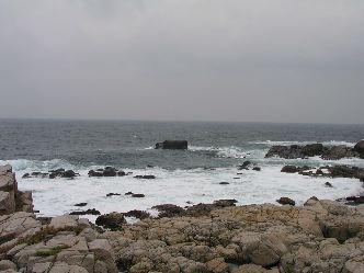 P9110626.jpg