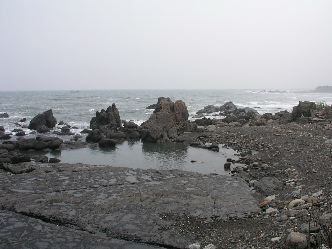 P9110495.jpg