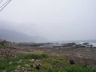 P9110539.jpg