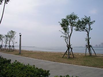 P9120791.jpg