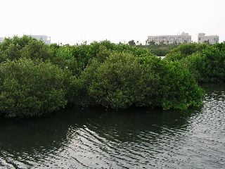 P9131013.jpg