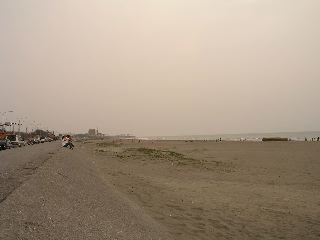 P9131028.jpg