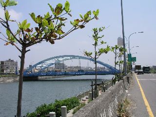 P9130917.jpg