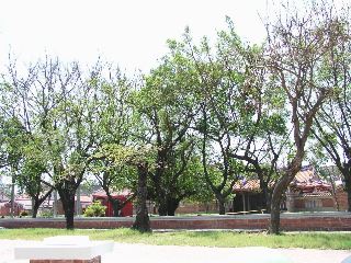 P9130925.jpg