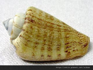 P4290138