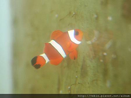 IMG_6459 IMG_6459