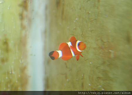 IMG_6433 IMG_6433