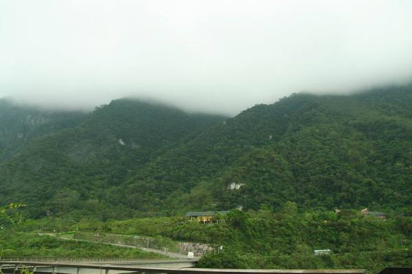 IMG_2664.jpg