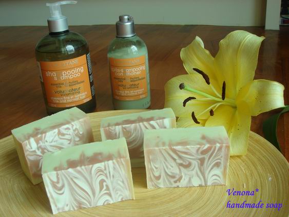 調整大小 2011年皂片 001.jpg