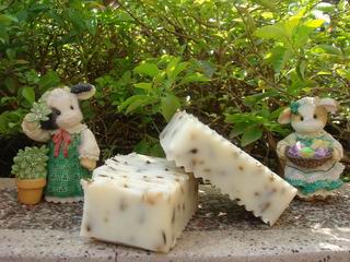 調整大小 1765772210.jpg