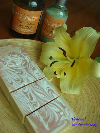 調整大小 2011年皂片 004.jpg