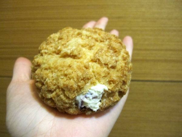 IMG_5040.JPG IMG_5040.JPG