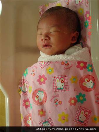 DSC02411.JPG DSC02411.JPG