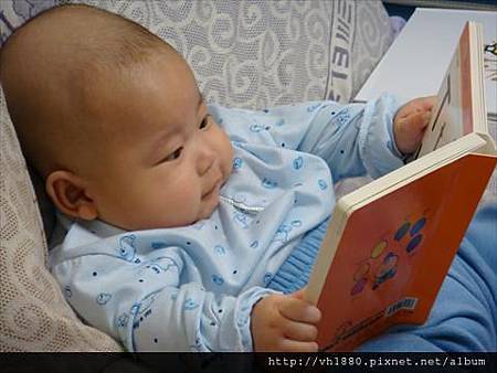 250759_480957285254350_500793115_n