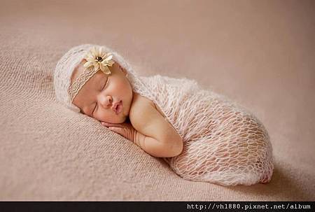 385729_288841887886902_1403734013_n 385729_288841887886902_1403734013_n