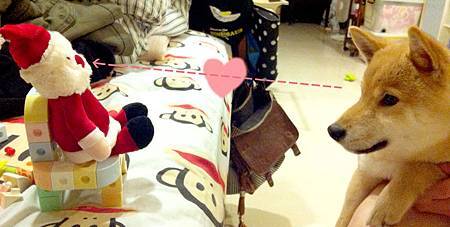 天蔣與聖誕老人