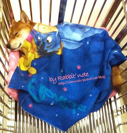 8蓋被子睡床墊 8蓋被子睡床墊