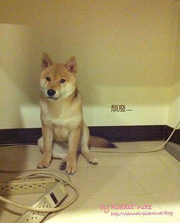 14沒暖爐哀怨人 14沒暖爐哀怨人