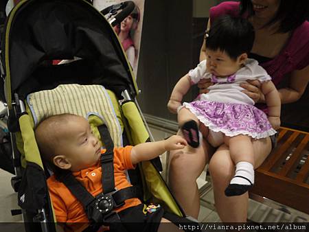 P1020817.JPG P1020817.JPG