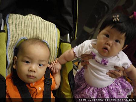 P1020816.JPG P1020816.JPG