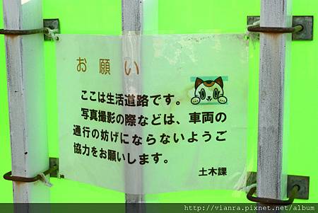 IMG_9053.JPG IMG_9053.JPG