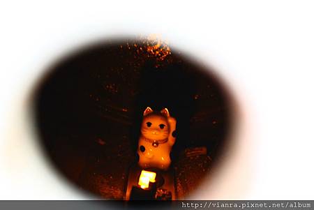 IMG_9072.JPG IMG_9072.JPG