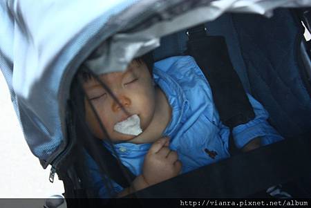 IMG_9118.JPG IMG_9118.JPG