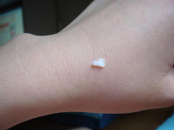 DSC02346.JPG DSC02346.JPG