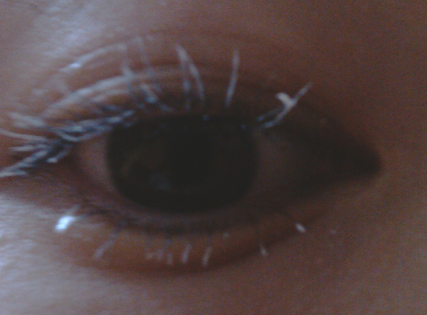 IMAG0298.jpg IMAG0298.jpg