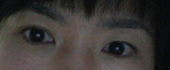 圖片 005.jpg 圖片 005.jpg