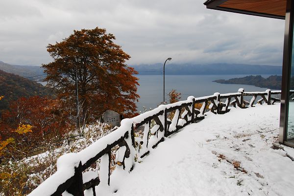 DSC_8115.JPG DSC_8115.JPG