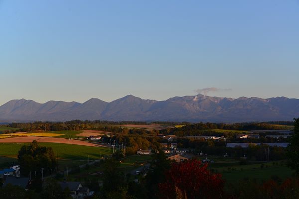 DSC_4456.JPG DSC_4456.JPG