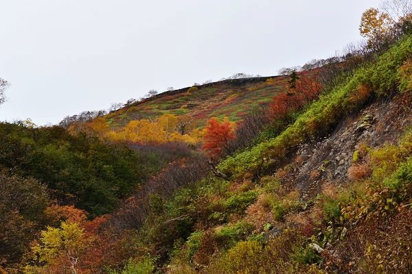 DSC_4479.JPG DSC_4479.JPG
