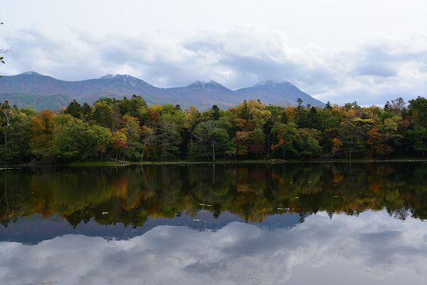 DSC_5497.JPG DSC_5497.JPG