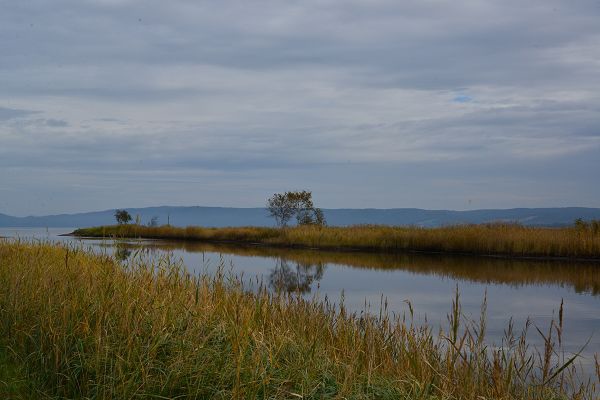 DSC_5640.JPG DSC_5640.JPG