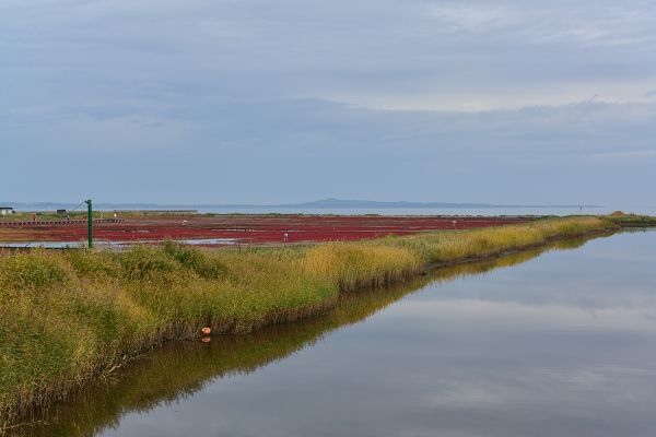 DSC_5641.JPG DSC_5641.JPG
