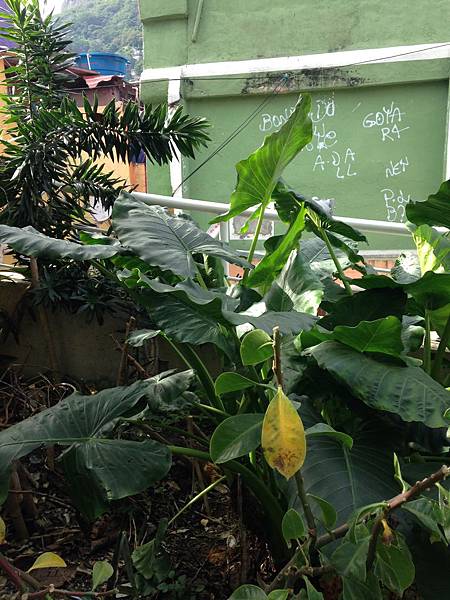 IMG_2379.JPG IMG_2379.JPG