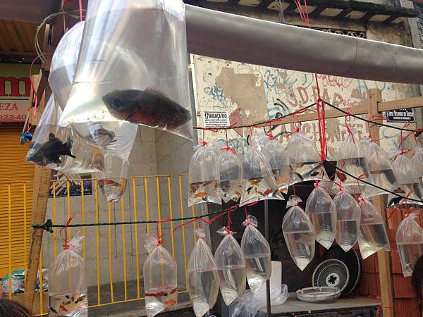 IMG_2436.JPG IMG_2436.JPG