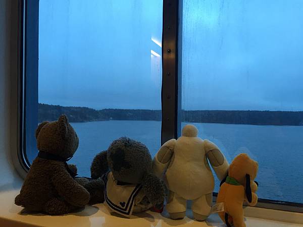 IMG_1703.JPG IMG_1703.JPG